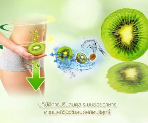 Phytovy Kiwi Extract Dietary Supplement - Image 6