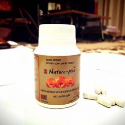 Reishi Mushroom Extract by Nature Plus