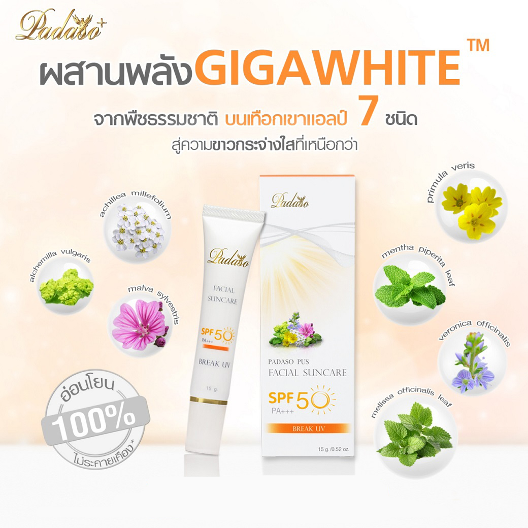 PadasoPus Facial Suncare Break UV 02 SPF 50 PA+++ - Image 4