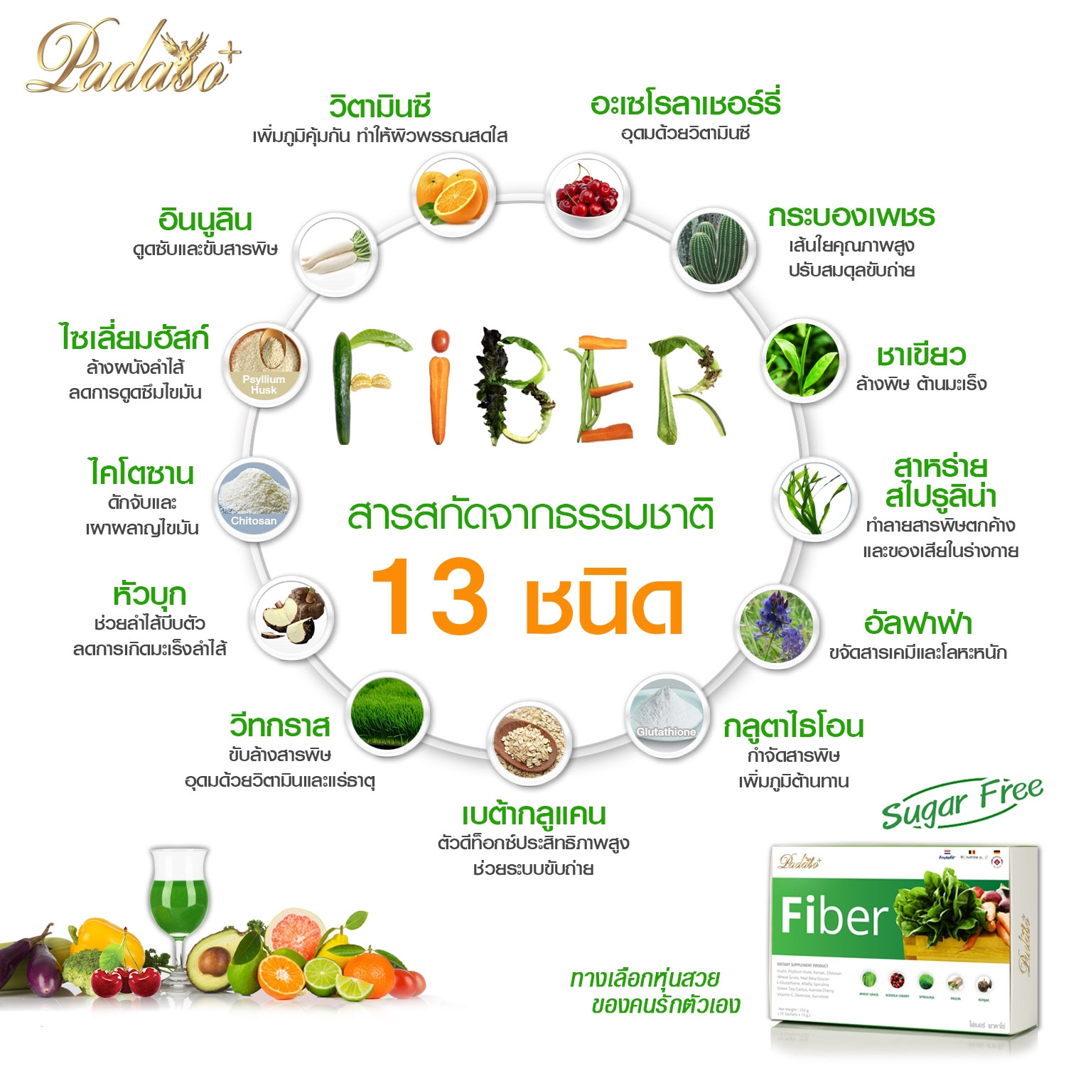 Fiber Padaso - Image 6