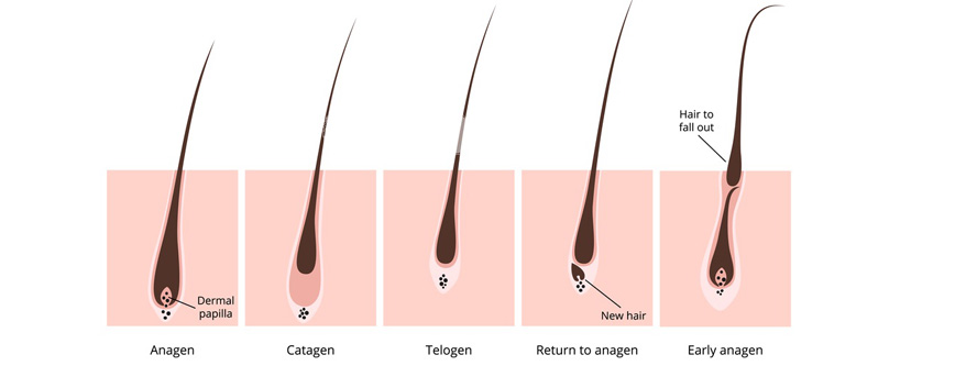 Hair Growth Serum