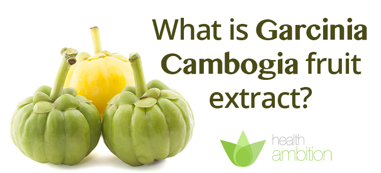 Garcinia cambogia