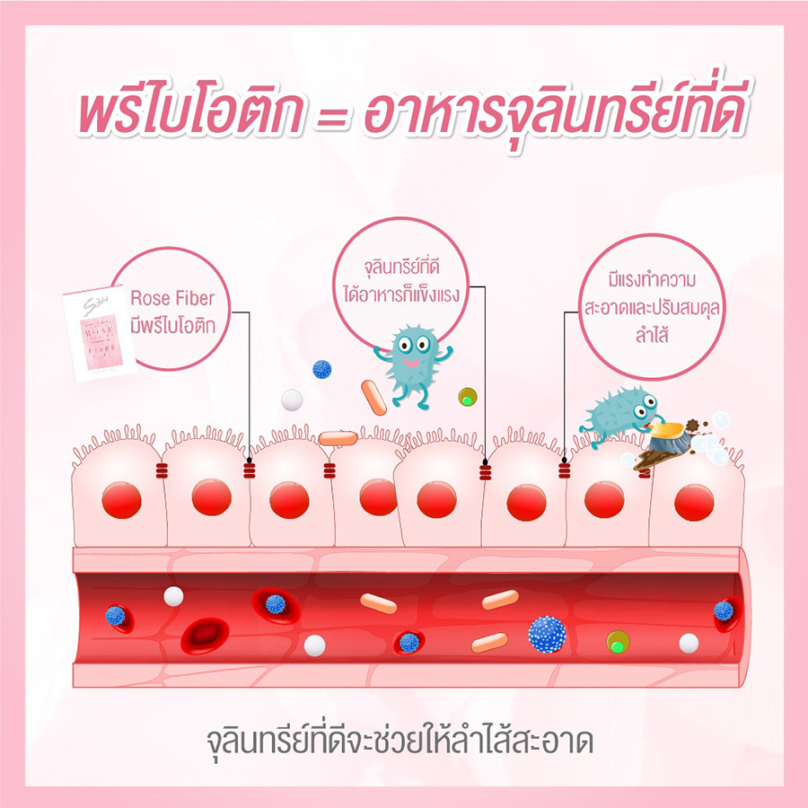 S360 Rose Fiber with Prebiotic - Image 3