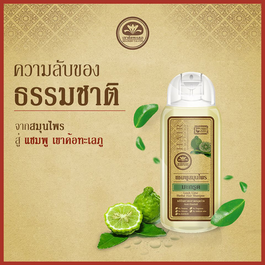 Khaokho Leech Lime Herbal Hair Shampoo + Conditioner Set - Image 2