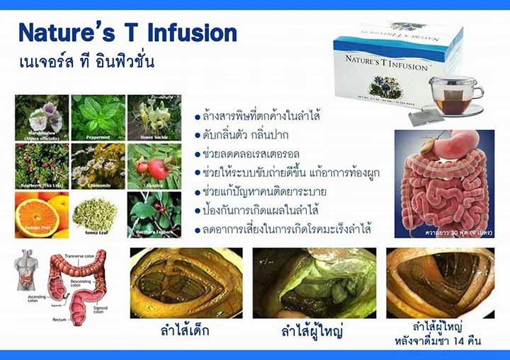 Nature’s Tea Infusion by Unicity - Image 4