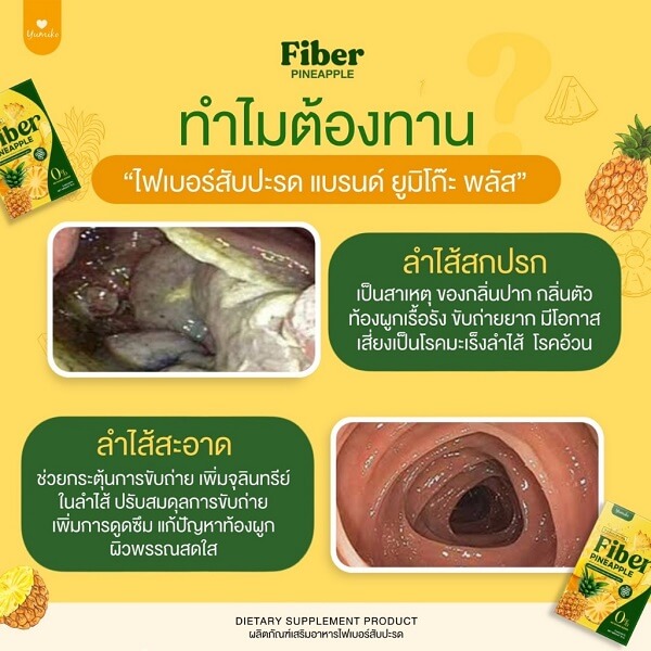 Yumiko Fiber Detox - Image 4