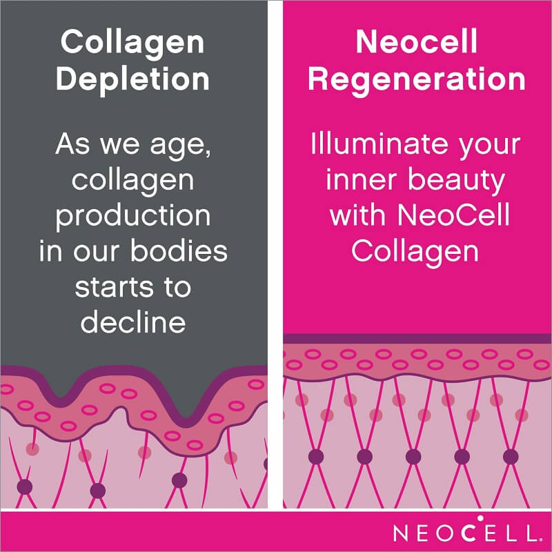 Neocell Super Collagen Type 1&3 Powder - Image 4