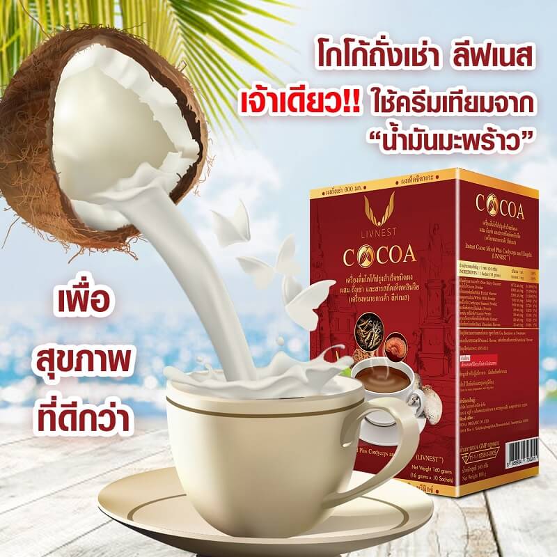 Livnest Cocoa - Image 4
