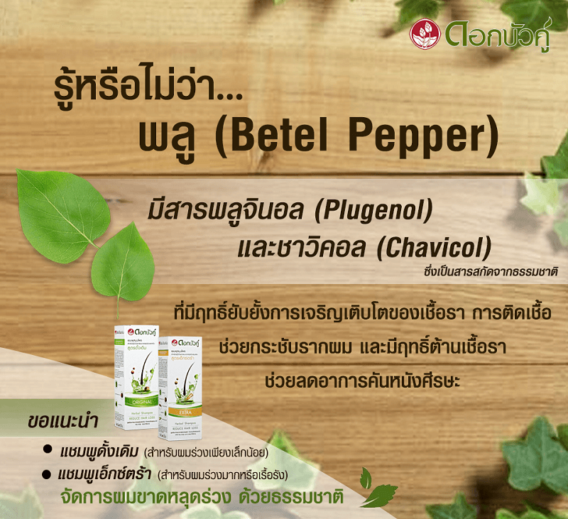 Dokbuaku Original Herbal Shampoo Reduce Hair Loss - Image 5