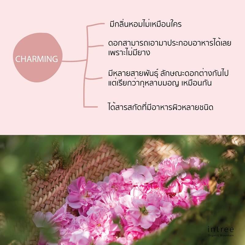 Intree Organic Mountain Mon Rose Shower Gel by Phutawan - Image 6