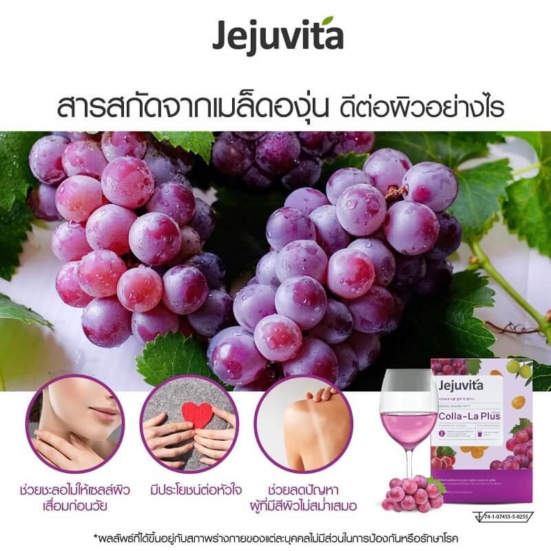 Jejuvita Colla-La Plus - Image 3