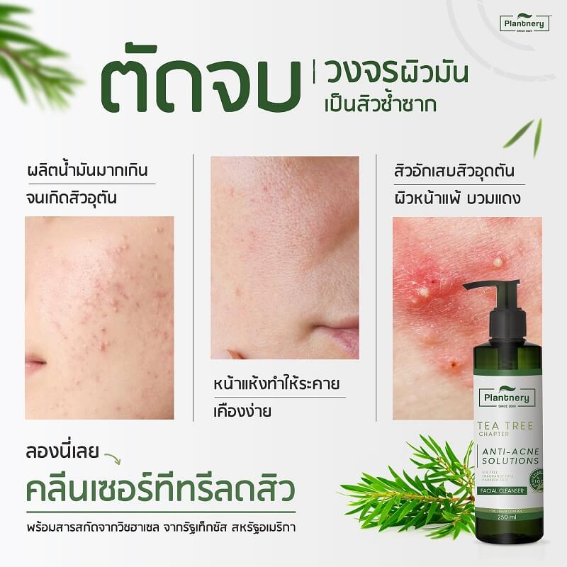 Plantnery Tea Tree Facial Cleanser - Image 4