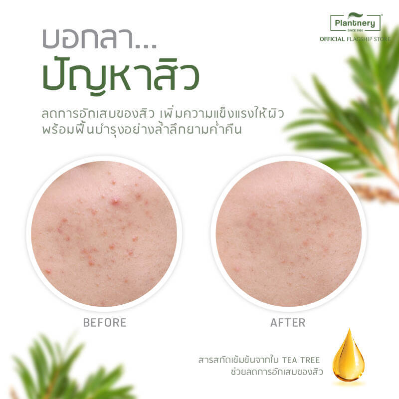 Plantnery Tea Tree Sleeping Mask - Image 5