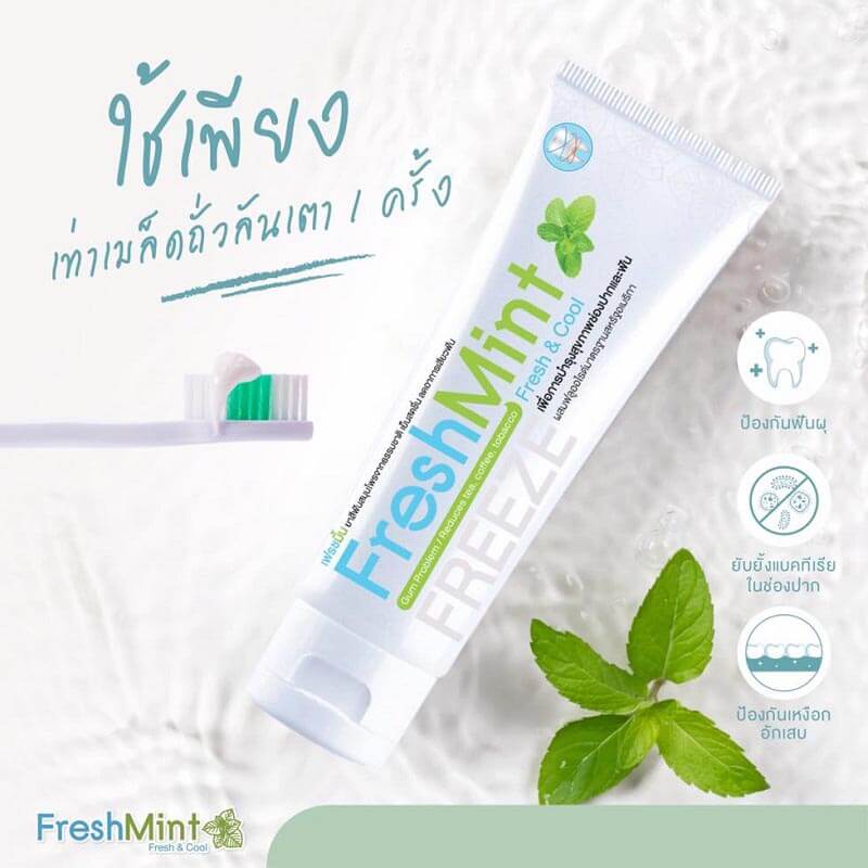 Fresh Mint Fresh