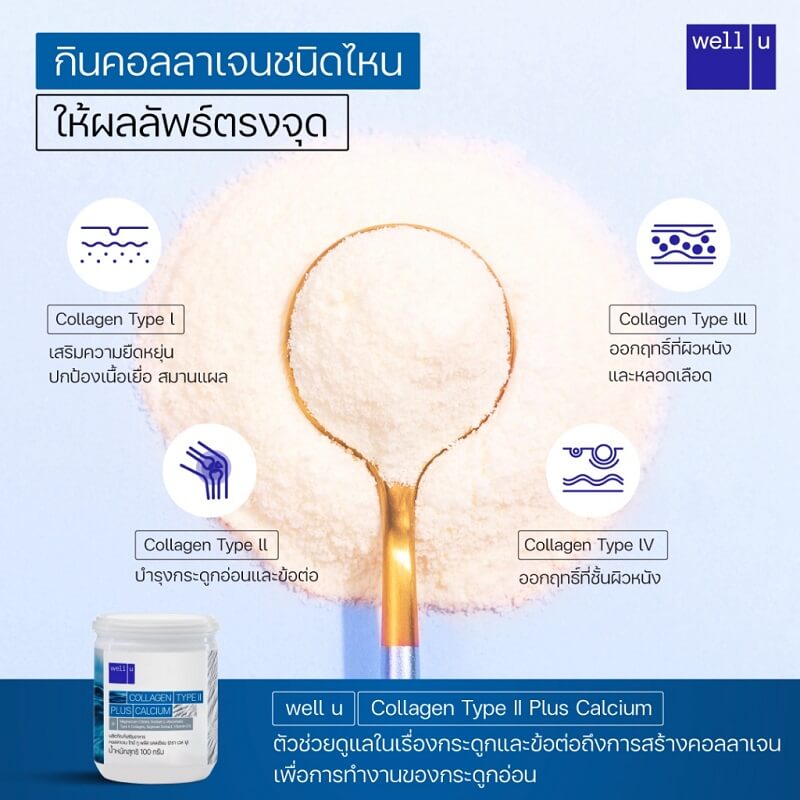 Well u Collagen Type II - Image 5