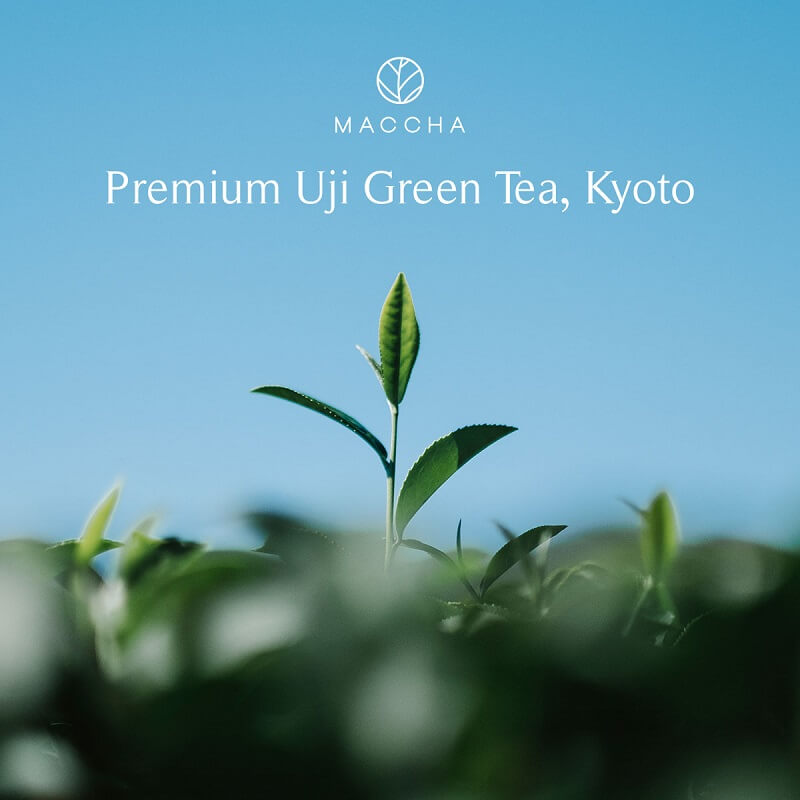 MACCHA Glow Rebalancing Essential Water