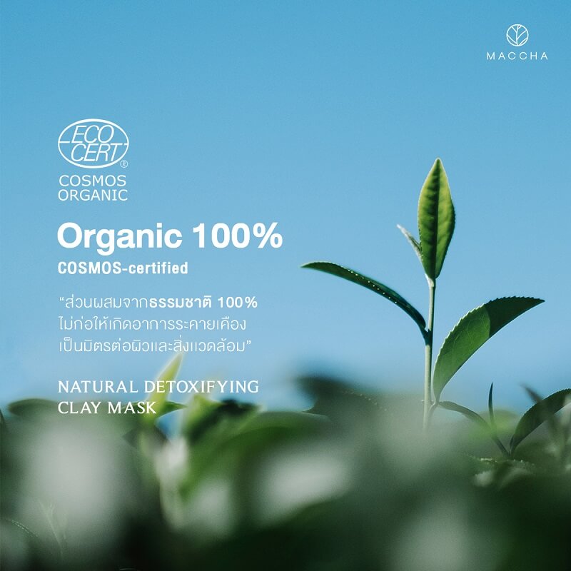 MACCHA Natural Detoxifying Clay Mask