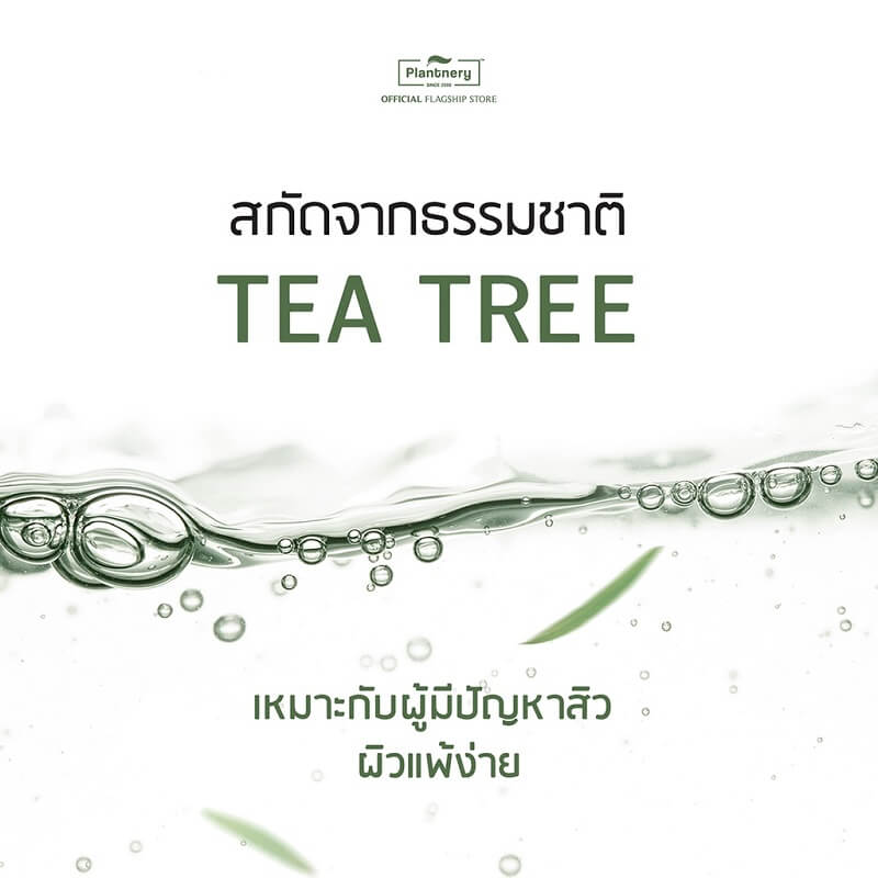 Plantnery Tea Tree Acne Whip Foam - Image 3
