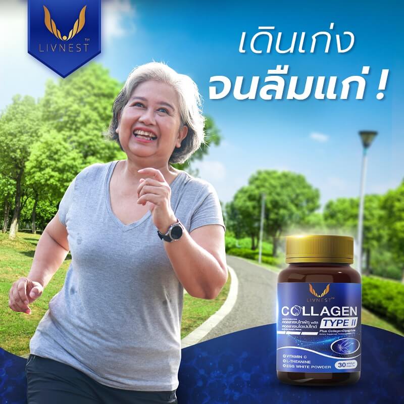Livnest Collagen Type II - Image 5