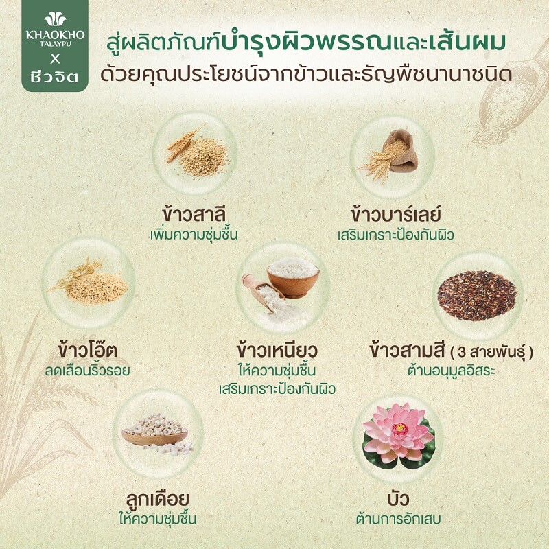 Khaokho Talaypu Multi Rice Vitamin Shampoo & Conditioner - Image 2