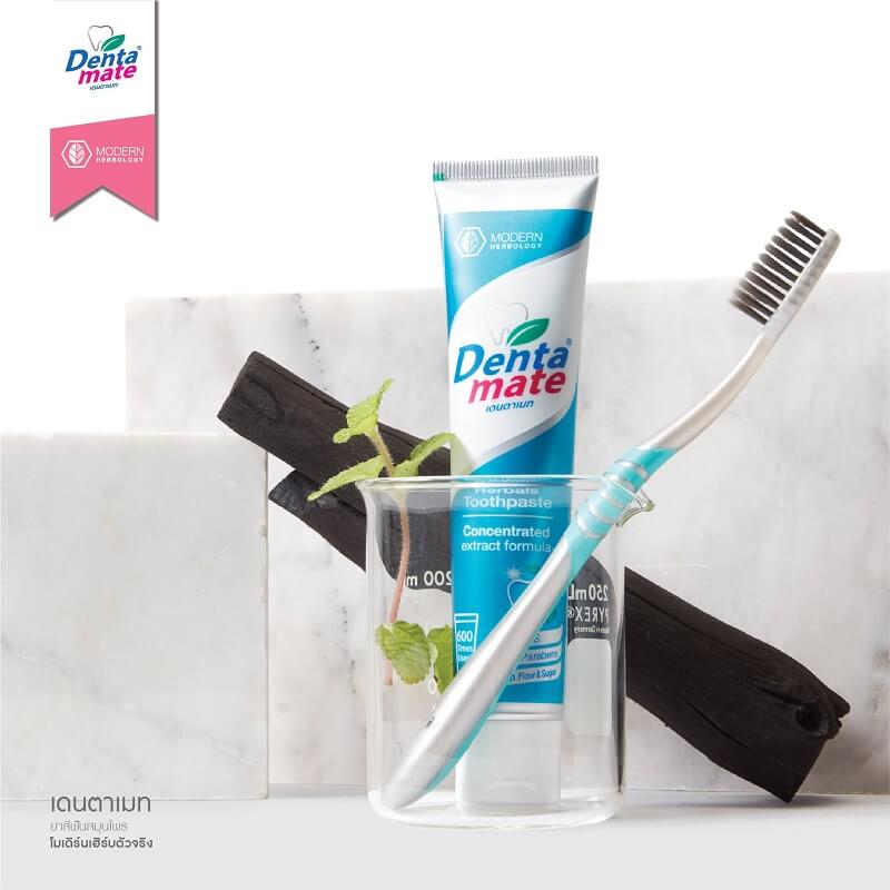 Dentamate Herbal Extract Toothpaste - Image 3