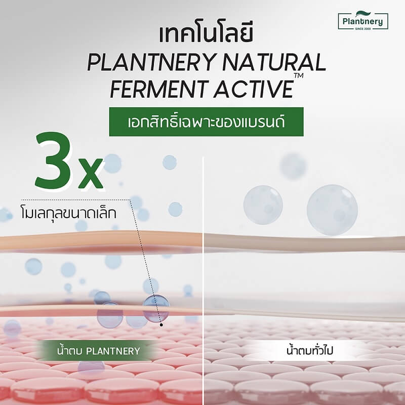 Plantnery Tea Tree Acne Ferment Essence - Image 6