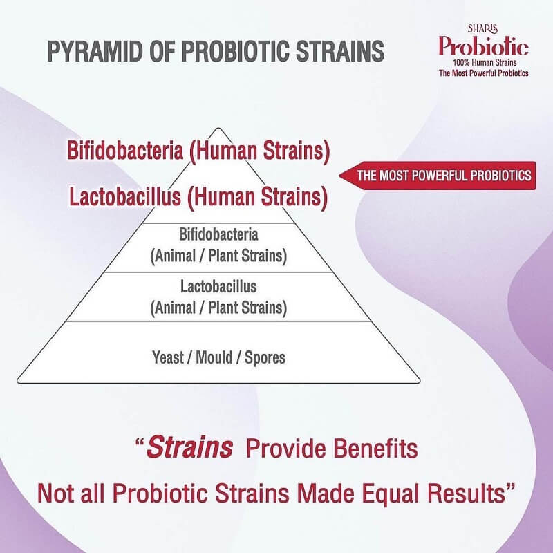 Sharis Probiotic - Image 7