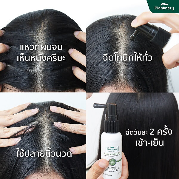 Plantnery Black Ginger Anti-Hair Loss Serum Tonic - Image 11