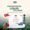 BioActive+ Concentrated Liquid Collagen