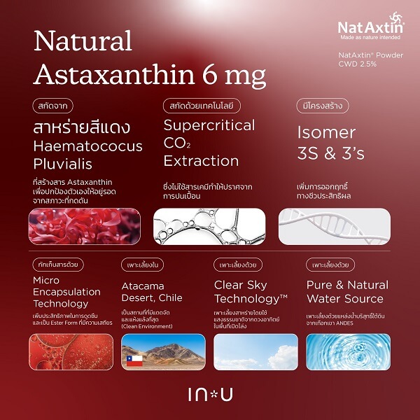 In U AstaNext+