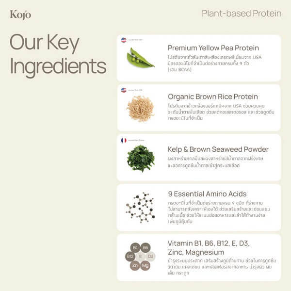 Kojo Plant Based Protein - Image 12