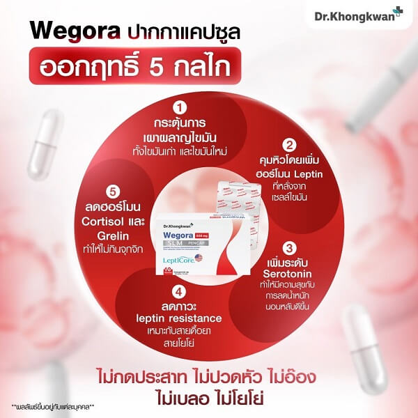 Wegora SLM PenCap by Dr.Khongkwan - Image 6
