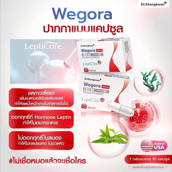 Wegora SLM PenCap by Dr.Khongkwan - Image 9